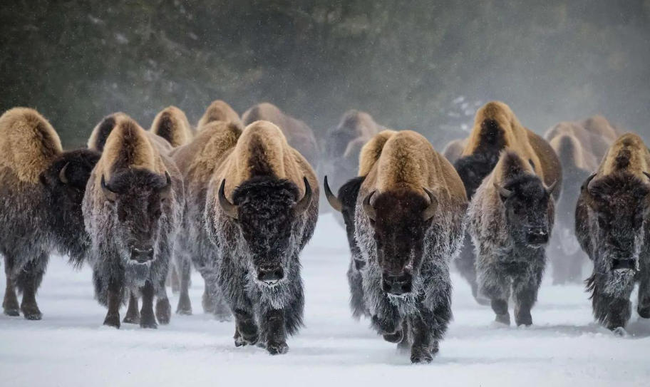 福州欣景园环境设备有限公司轮播图4